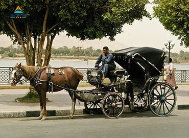 Assuan-Stadtrundfahrt mit der Pferdekutsche
