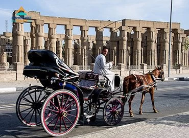 Tour della città di Luxor in carrozza a cavalli
