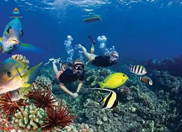 Sharm el Sheikh Port : Ras Mohammed  snorkeling Trip