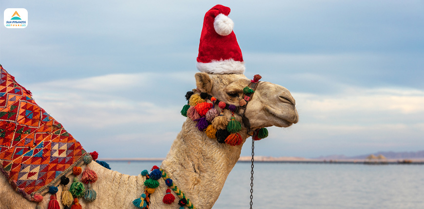 Christmas Celebrating Traditions in Egypt